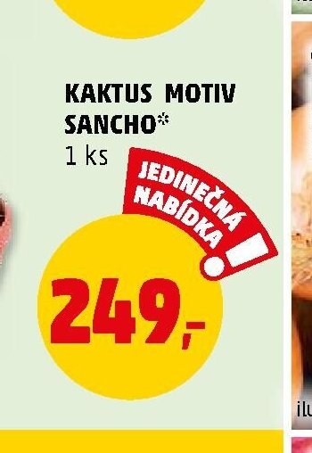 KAKTUS MOTIV SANCHO*