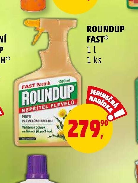 ROUNDUP FAST 1 l
