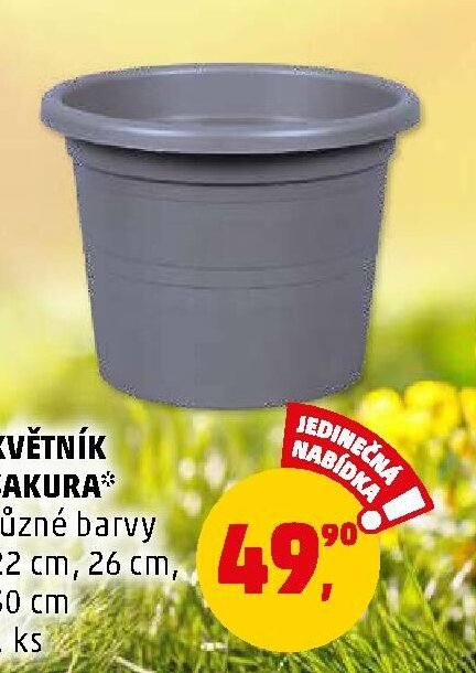 OPĚRA NA RAJČATA