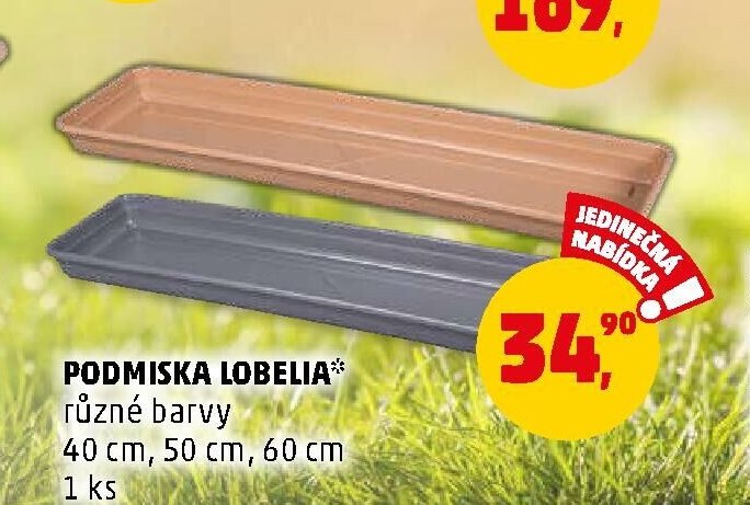 PODMISKA LOBELIA