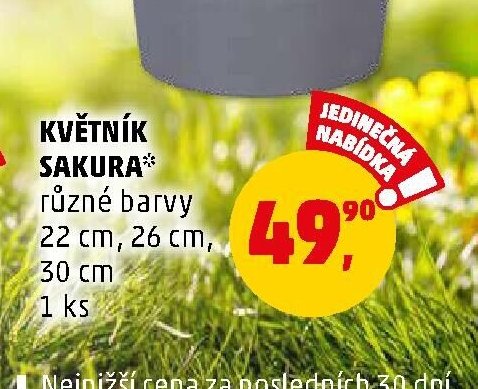 KVĚTNÍK SAKURA