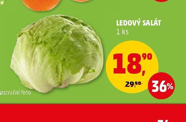 LEDOVÝ SALÁT 1 ks
