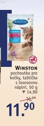 WINSTON pochoutka pro kočky