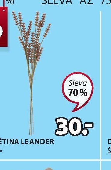 UMĚLÁ KVĚTINA LEANDER