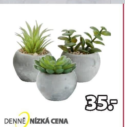 Umělá rostlina Bror