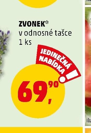 ZVONEK