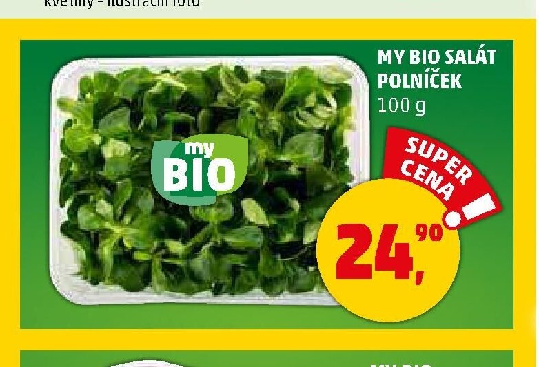MY BIO SALÁT POLNÍČEK