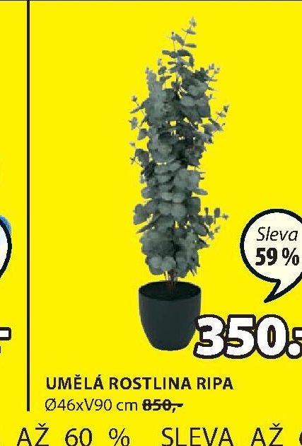 UMĚLÁ ROSTLINA RIPA