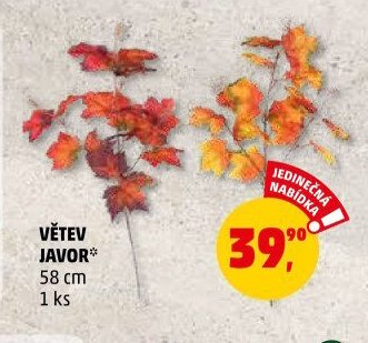 VĚTEV JAVOR*
