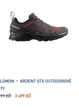 Salomon Ardent GTX outdoorové boty