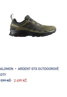 SALOMON - ARDENT GTX OUTDOOROVÉ BOTY