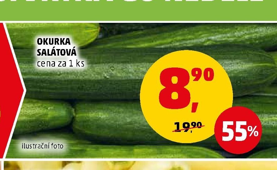 OKURKA SALÁTOVÁ