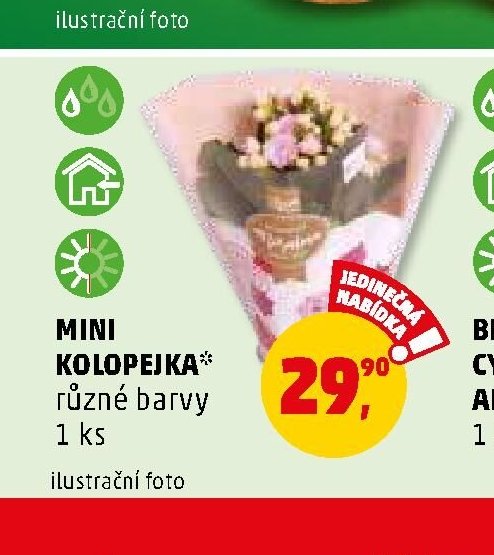 MINI KOLOPEJKA