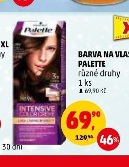 BARVA NA VLASY PALETTE