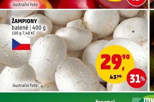 ŽAMPIONY