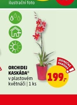 ORCHIDEJ KASKÁDA