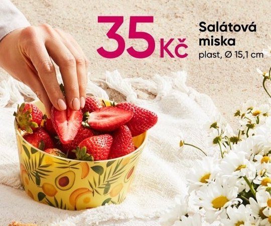 Salátová miska