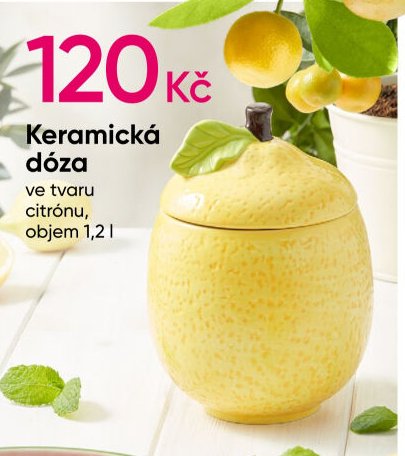 Keramická dóza