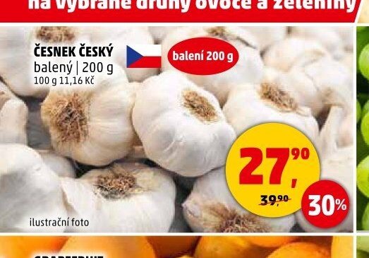 ČESNEK ČESKÝ