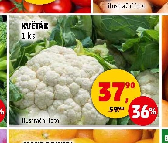 KVĚTÁK