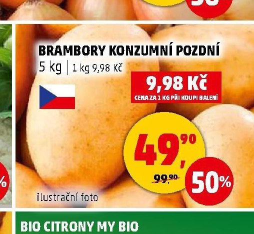 BRAMBORY KONZUMNÍ POZDNÍ