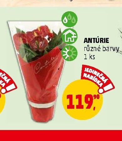 ANTÚRIE