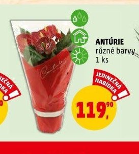 ANTÚRIE