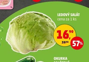 Ledový salát