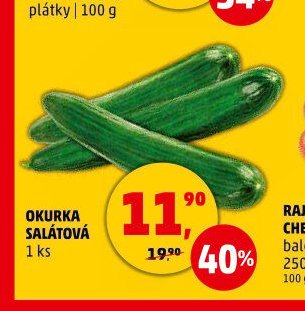 Okurka salátová