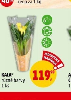 KALA