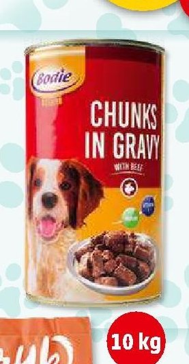 CHUNK IN GRAVY (Bodie) - Chunks with beef
