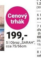 Obraz SARAH