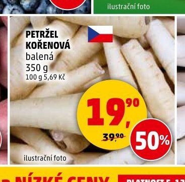 PETRŽEL KOŘENOVÁ