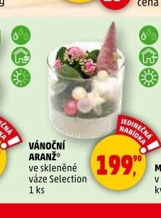 VÁNOČNÍ ARANŽ