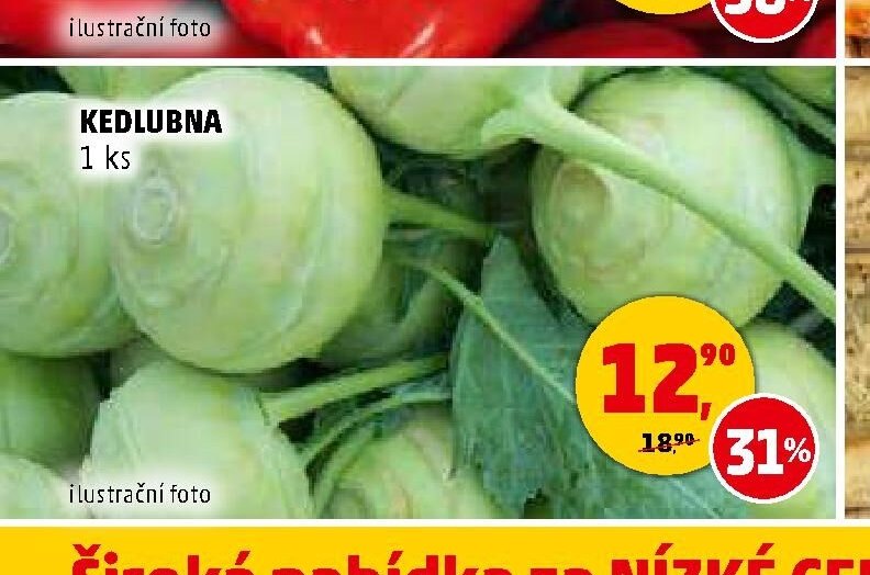 KEDLUBNA