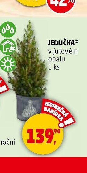 JEDLIČKA