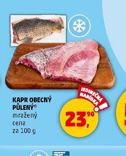 KAPR OBECNÝ PŮLENÝ