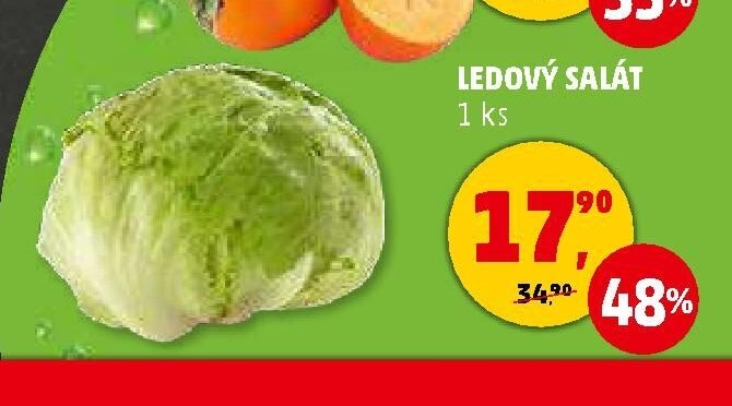 Ledový salát