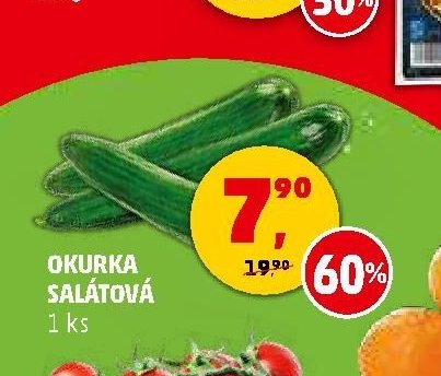 Okurka salátová