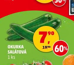 OKURKA SALÁTOVÁ