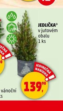 JEDLIČKA