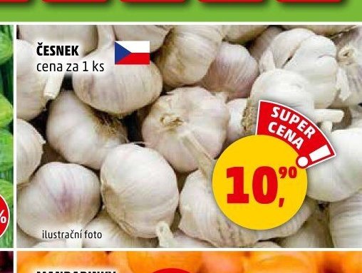 Česnek