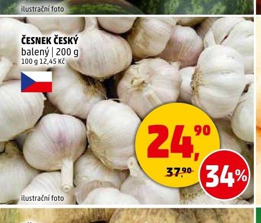 ČESNEK ČESKÝ