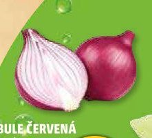 CIBULE ČERVENÁ volná