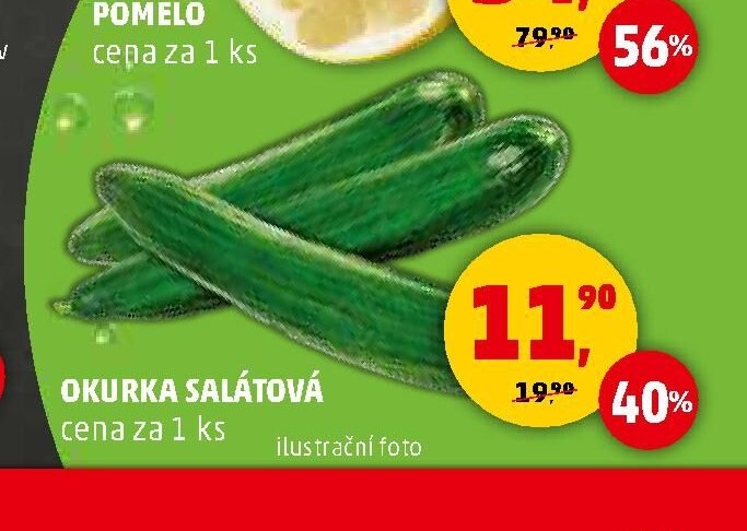 Okurka salátová