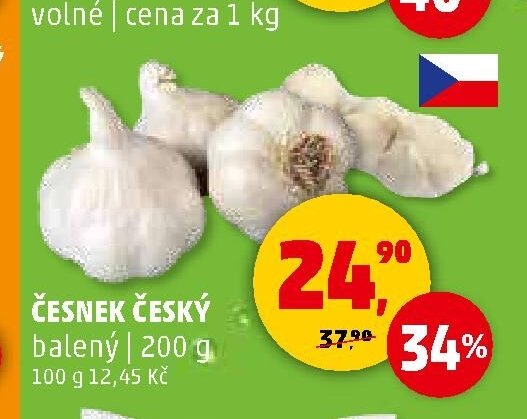 Česnek český
