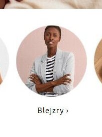 Blejzry