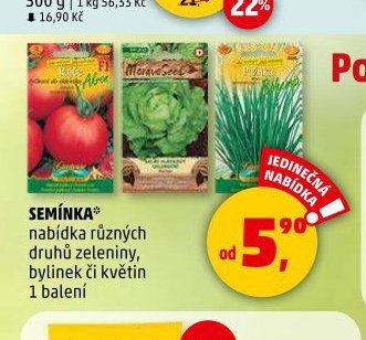 Semínka