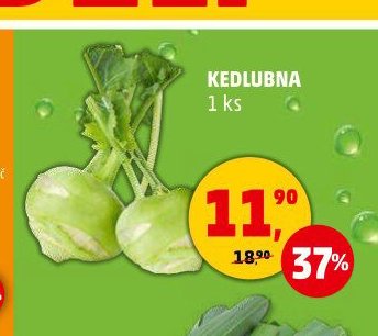 Kedlubna 1 ks