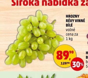 HROZNY RÉVY VINNÉ BÍLÉ